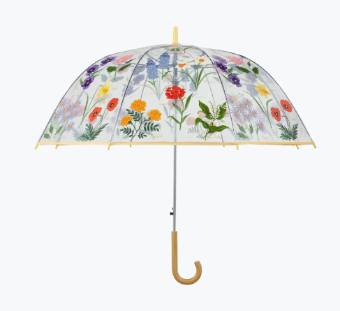 Garden Study Clear Umbrella