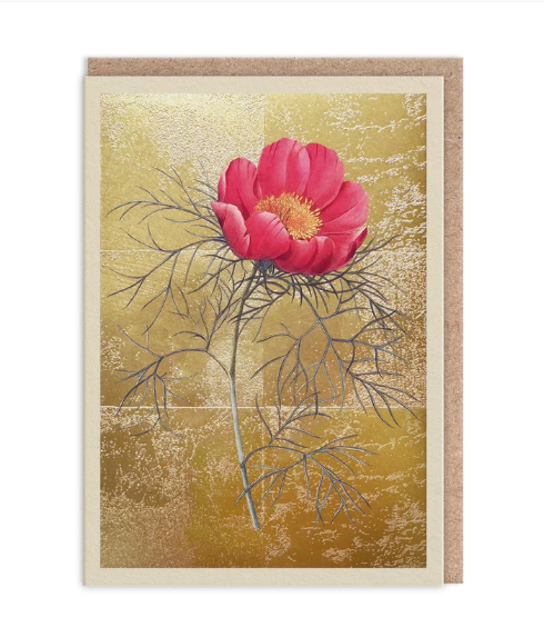 Peony Greeting Card