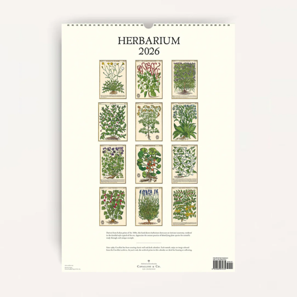 Herbarium Wall Calendar