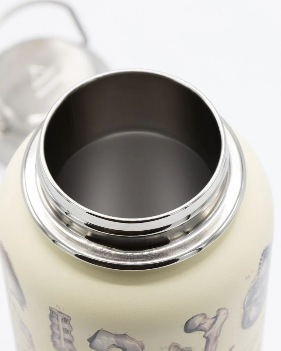 Skeleton 32 oz Steel Bottle