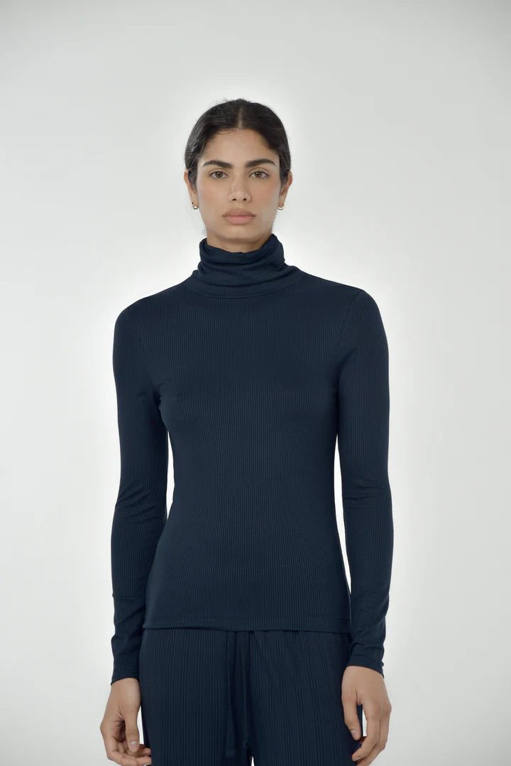 Cynthia Turtle Neck