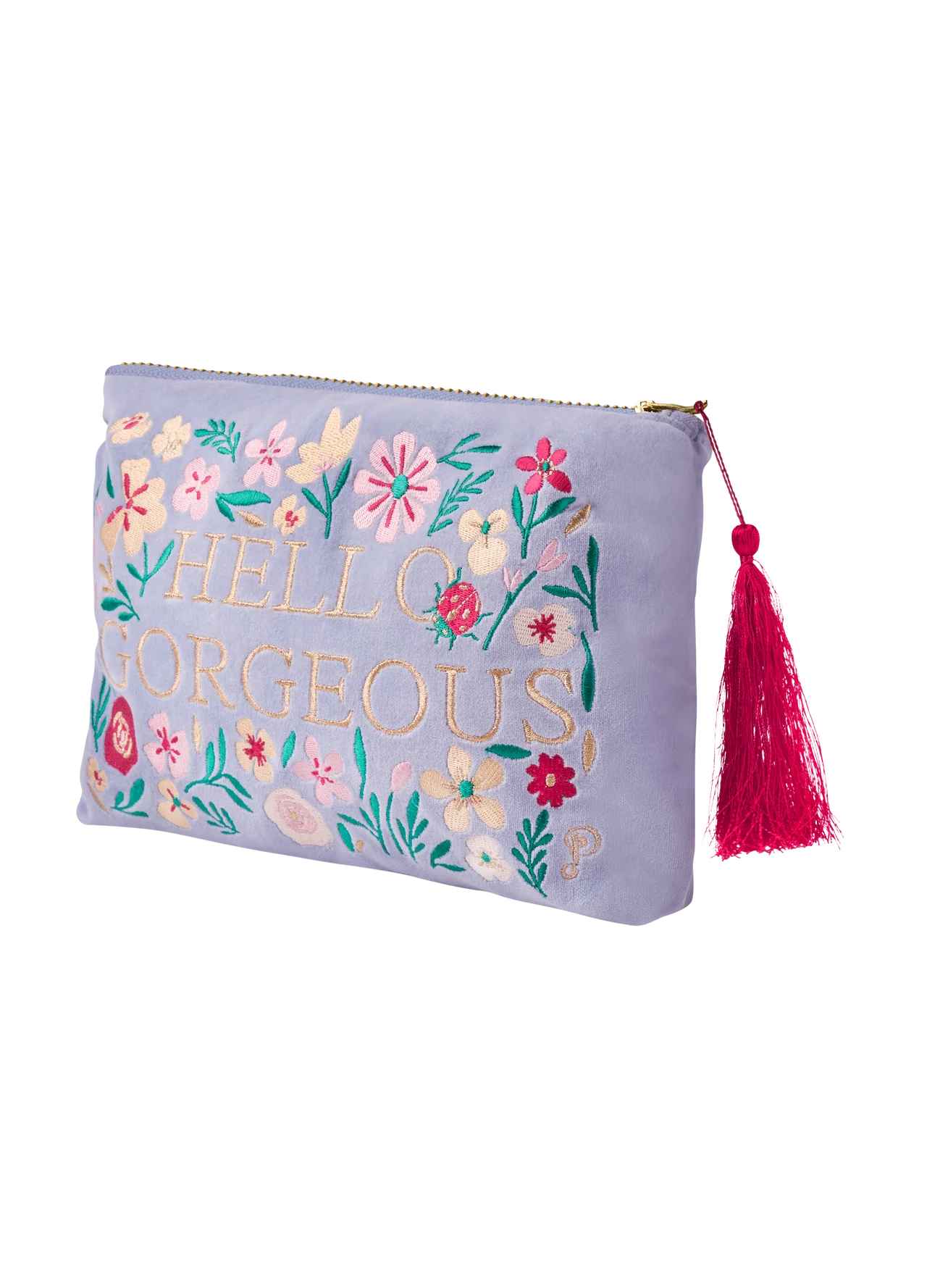 Hello Gorgeous Velvet Bag | Large