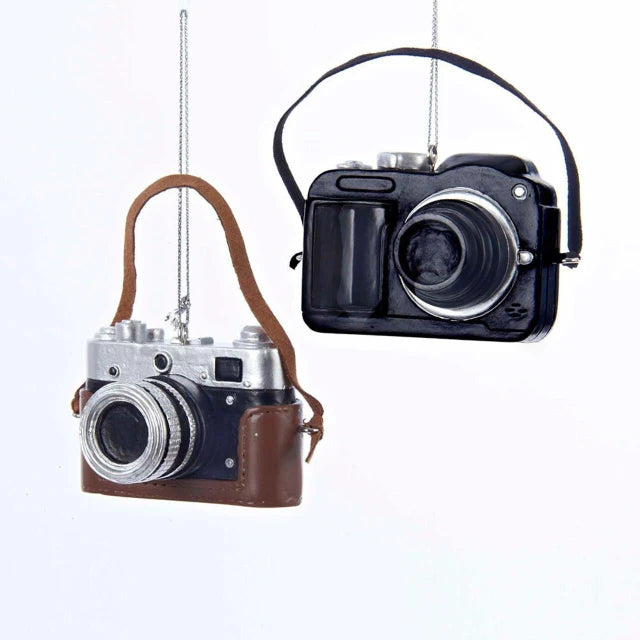 Camera Ornaments, 2 Assorted