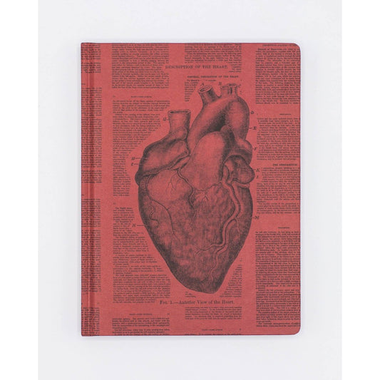Anatomical Heart Hardcover Notebook | Lined/Grid