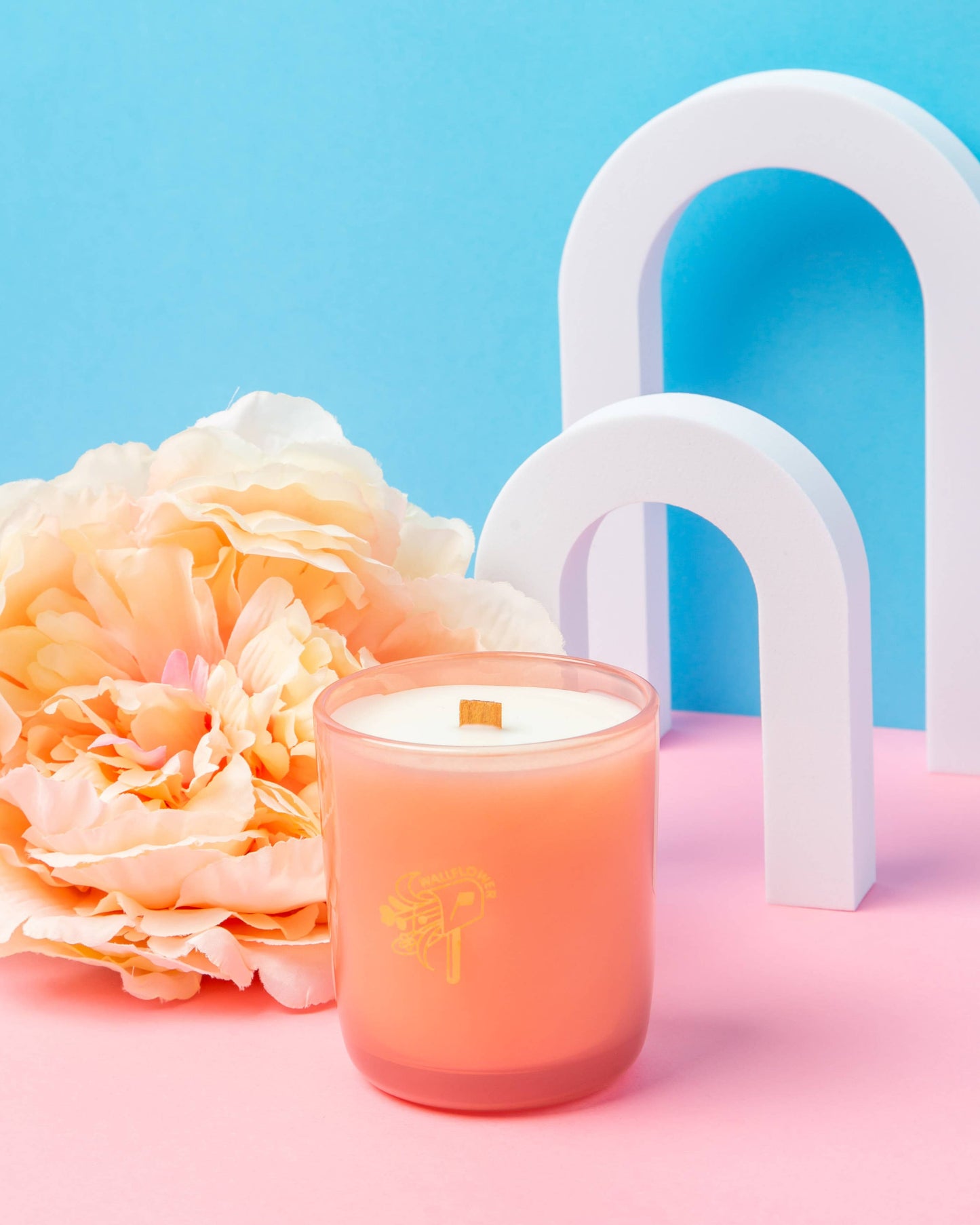 Wallflower | 8oz Coconut Soy Candle