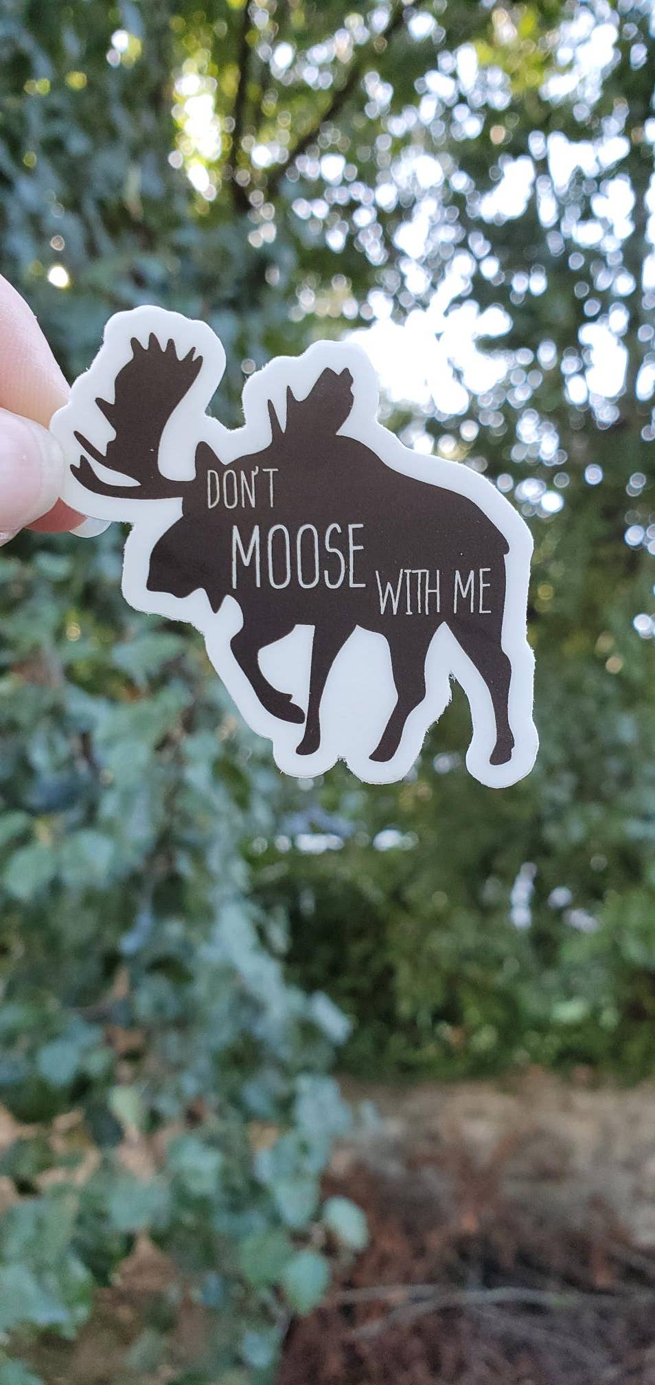 Quirky 'Don't Moose with Me' Moose Sticker