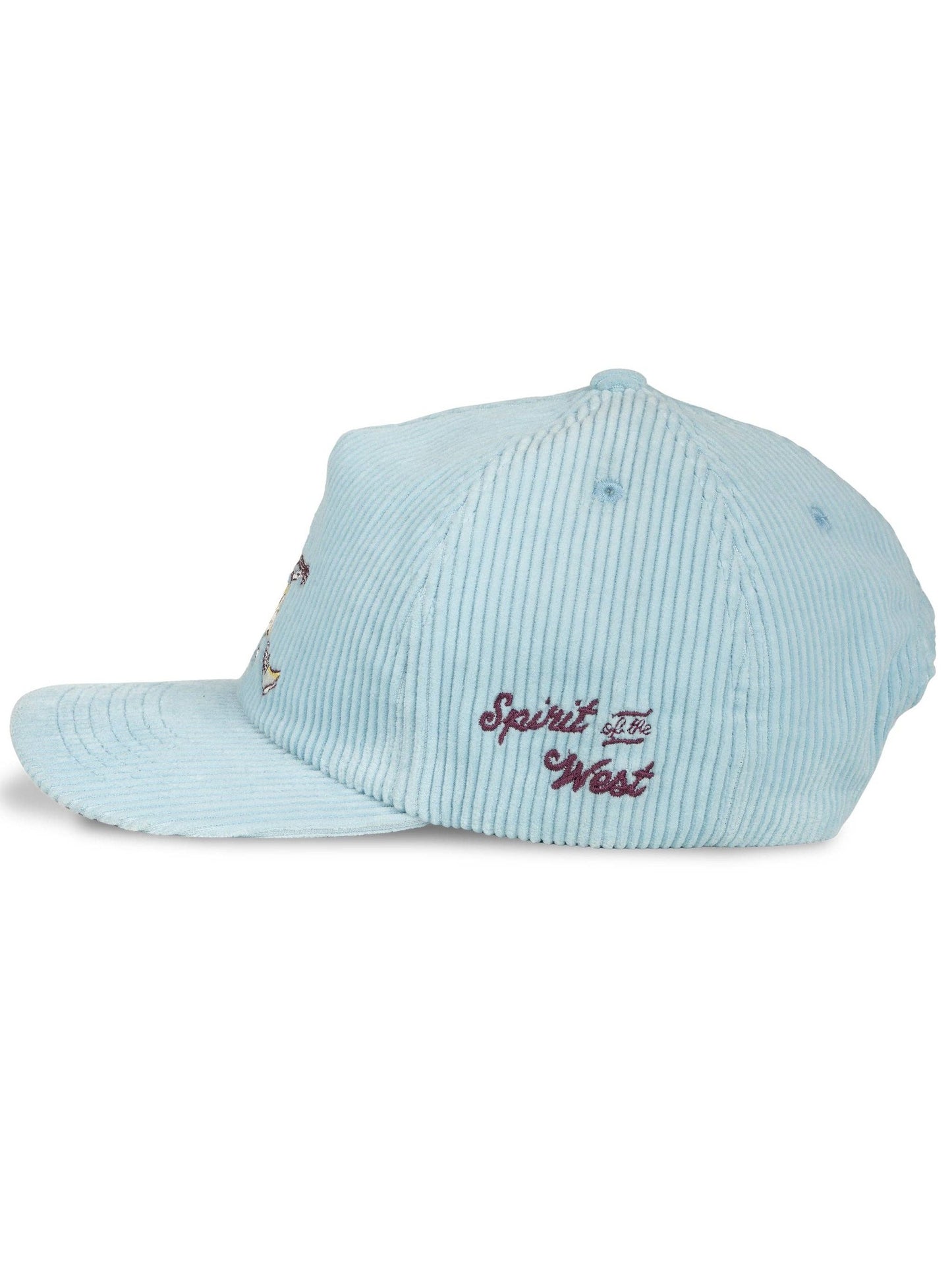 Play A Song Hat