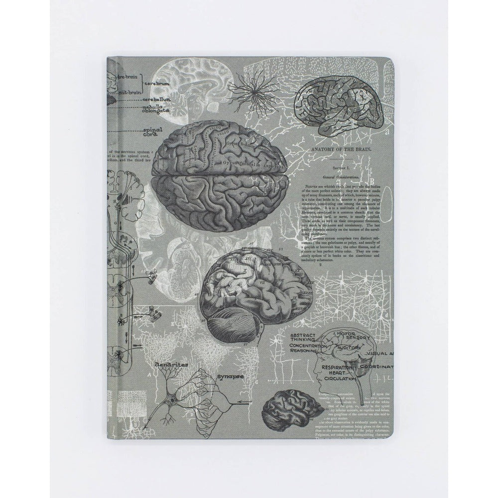 Brain Anatomy Hardcover Notebook | Dot Grid