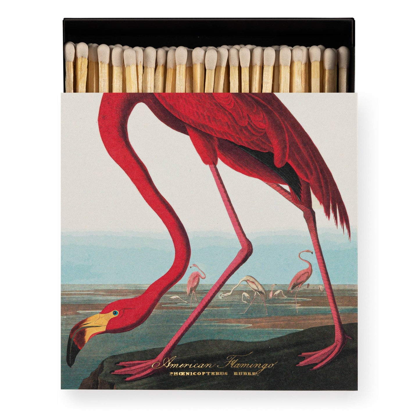 The American Flamingo | Square - Safety Matches