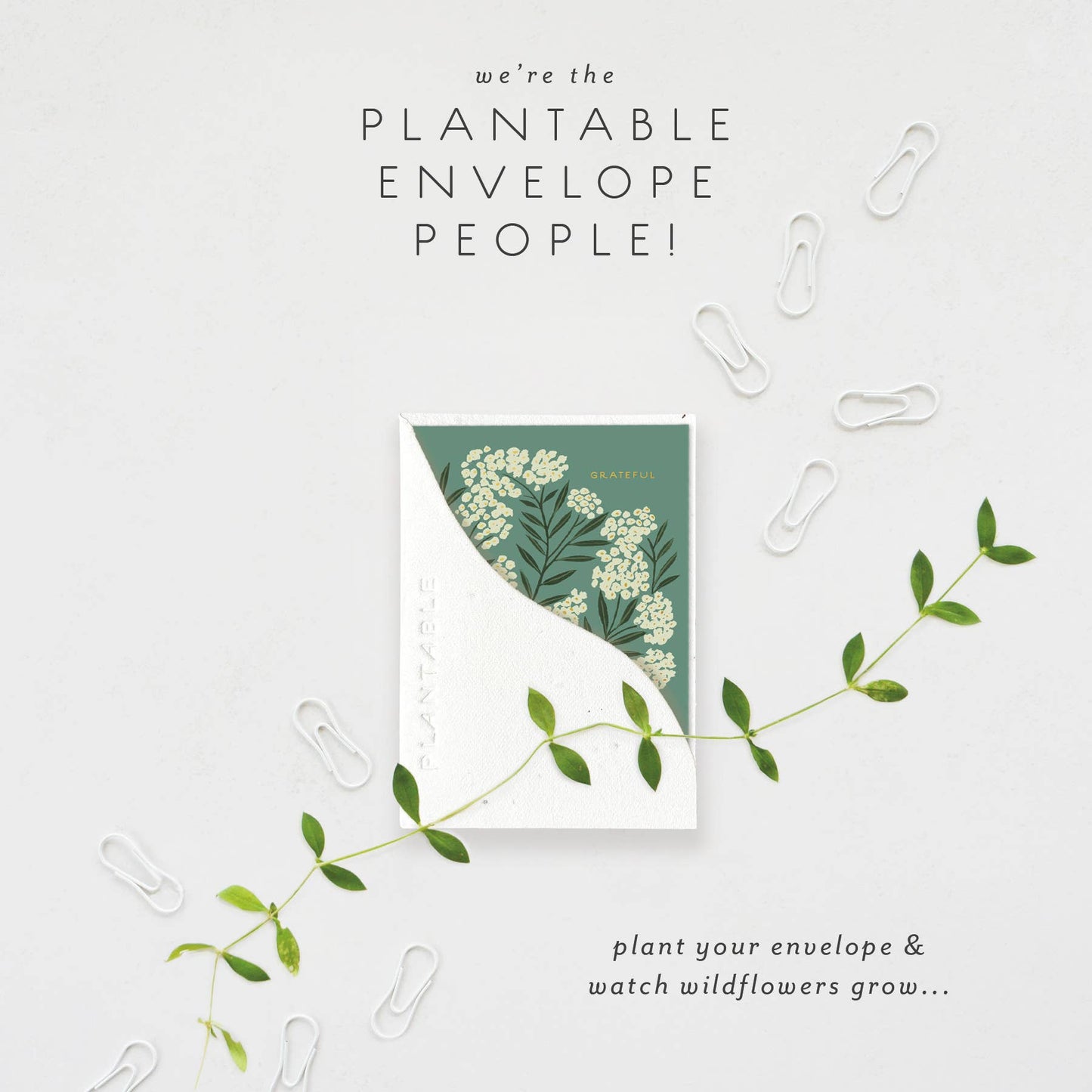 Grateful Sprout - Thank You Mini Greeting Card 2.5" x 3.5"