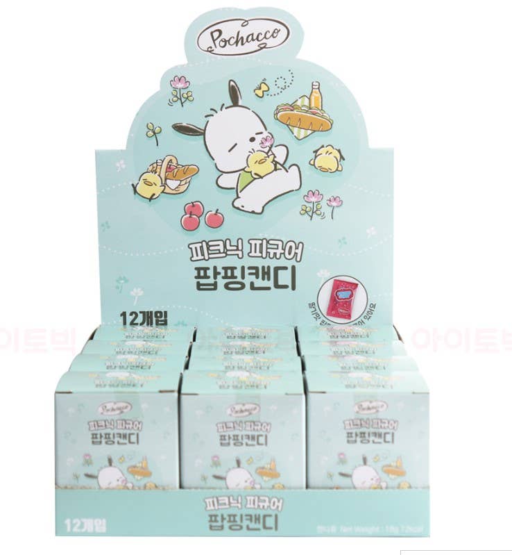 Sanrio Pochacco Picnic Theme Collectable Mystery Figure Charm