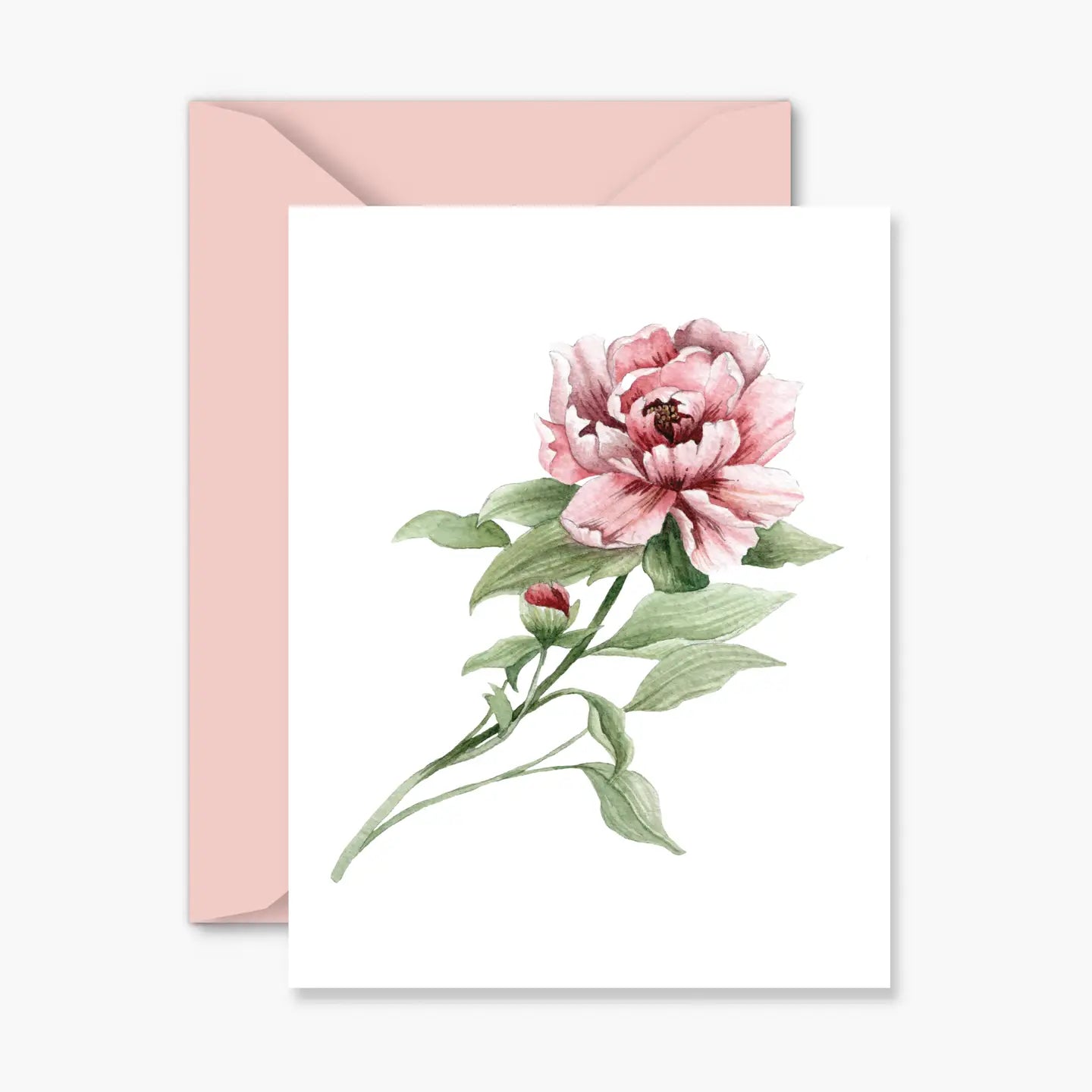 Peony Everyday Greeting Card