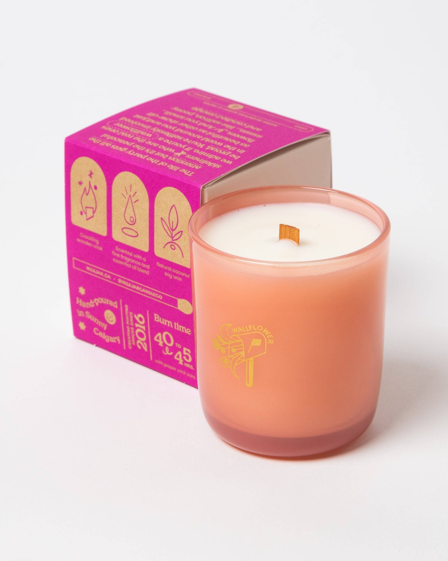 Wallflower | 8oz Coconut Soy Candle