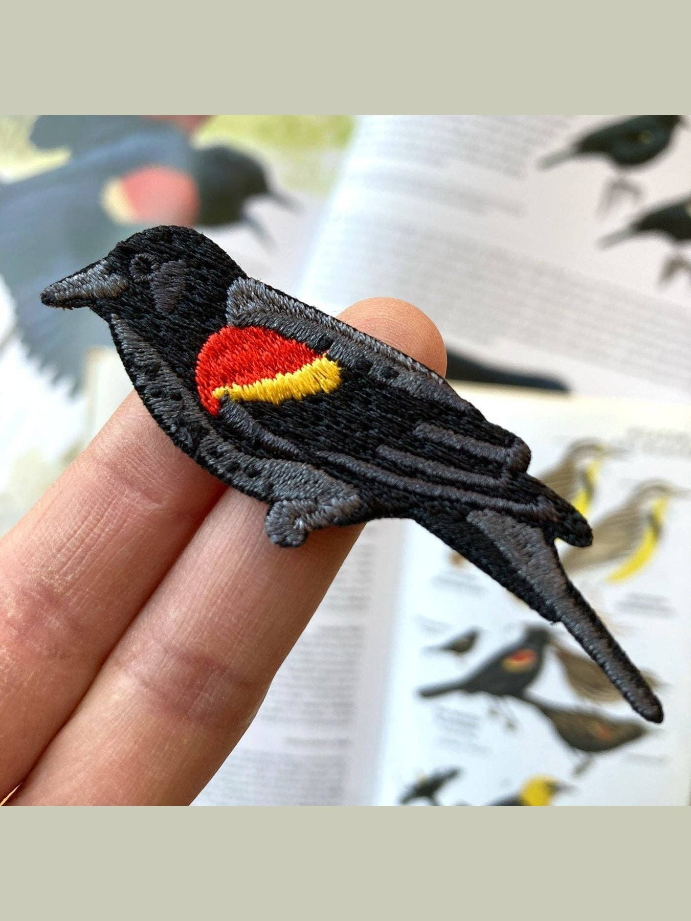 Red-winged Blackbird Patch