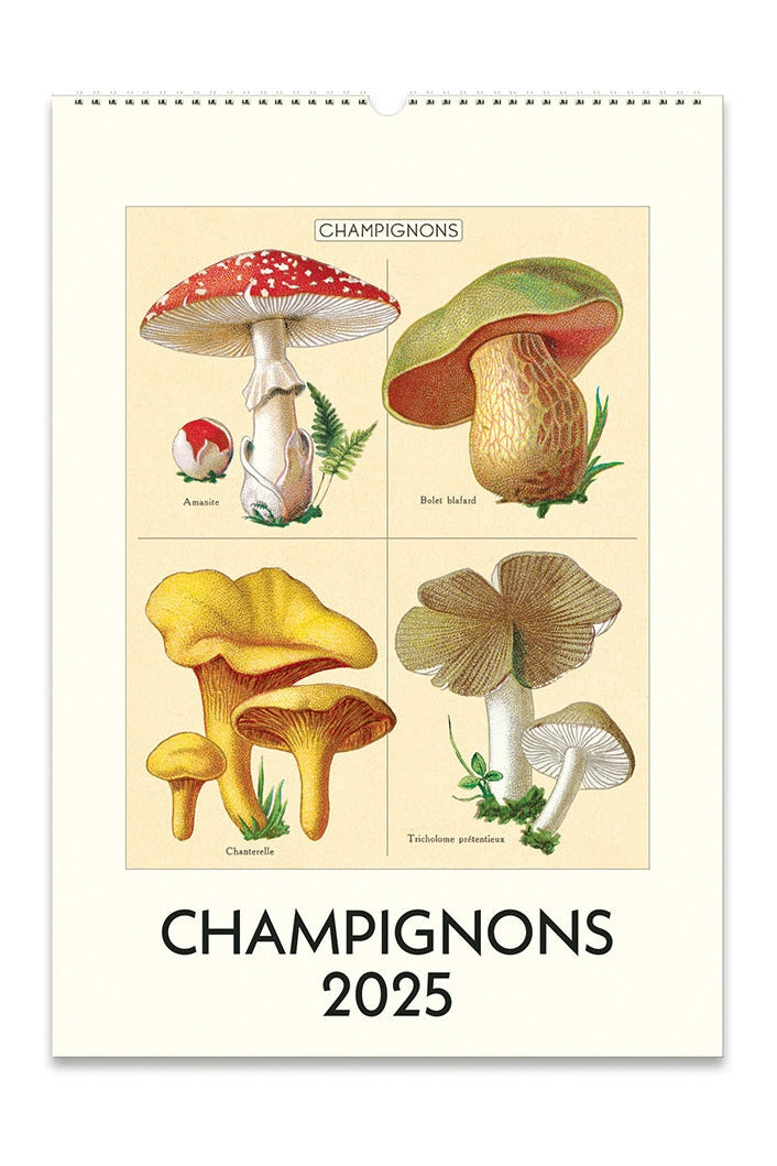 Champignons Wall Calendar