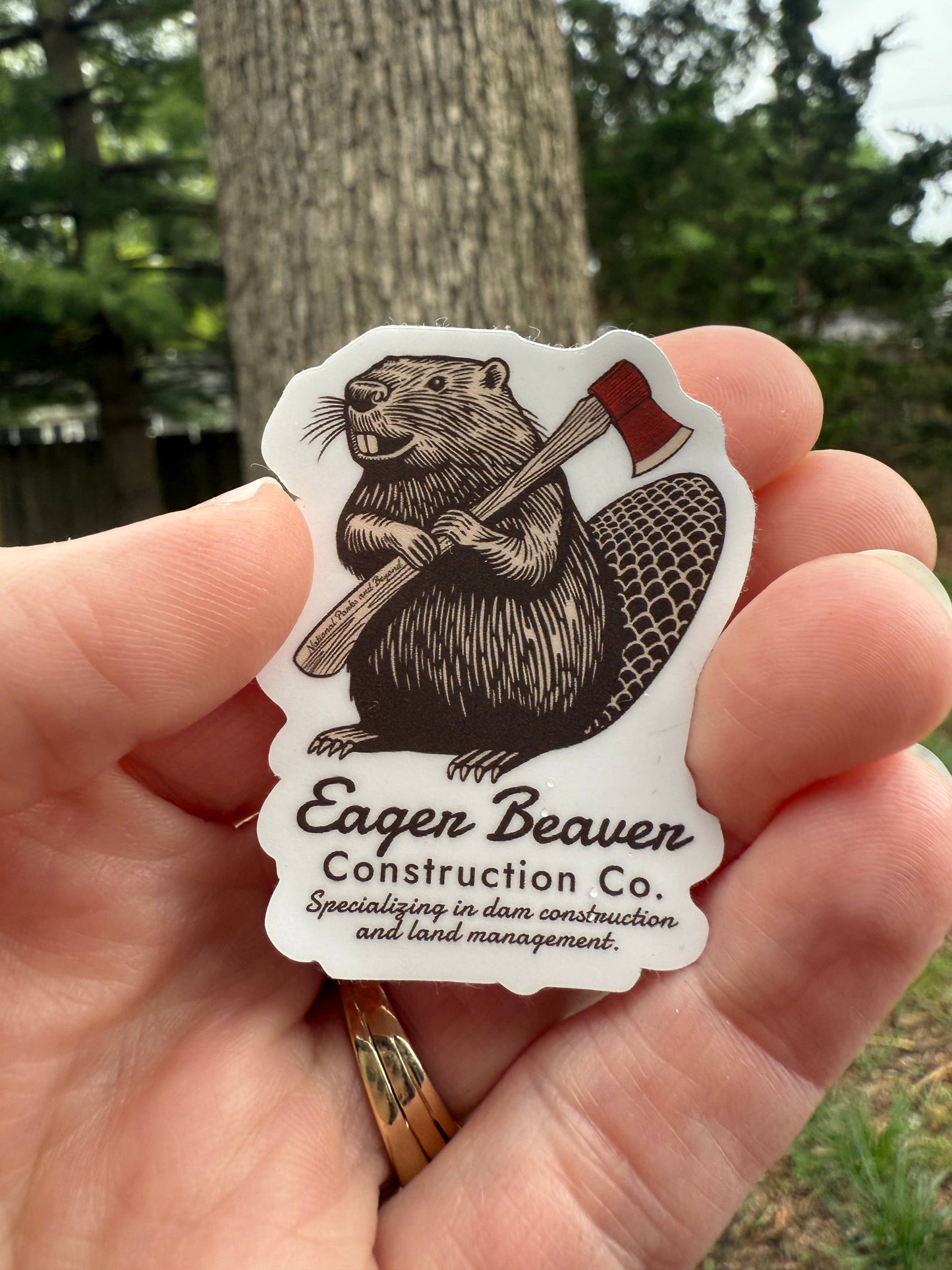 Eager Beaver Construction Company Vinyl Sticker