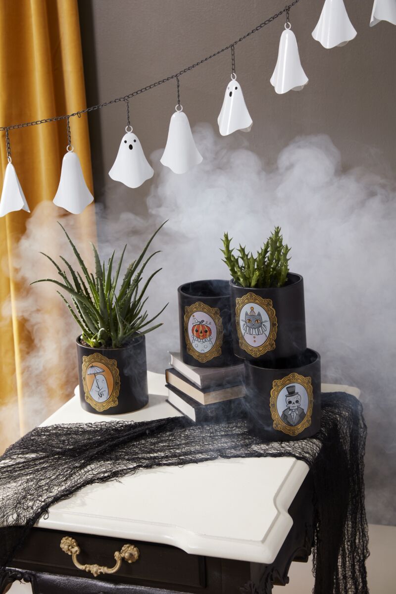 Dearly Departed Pots