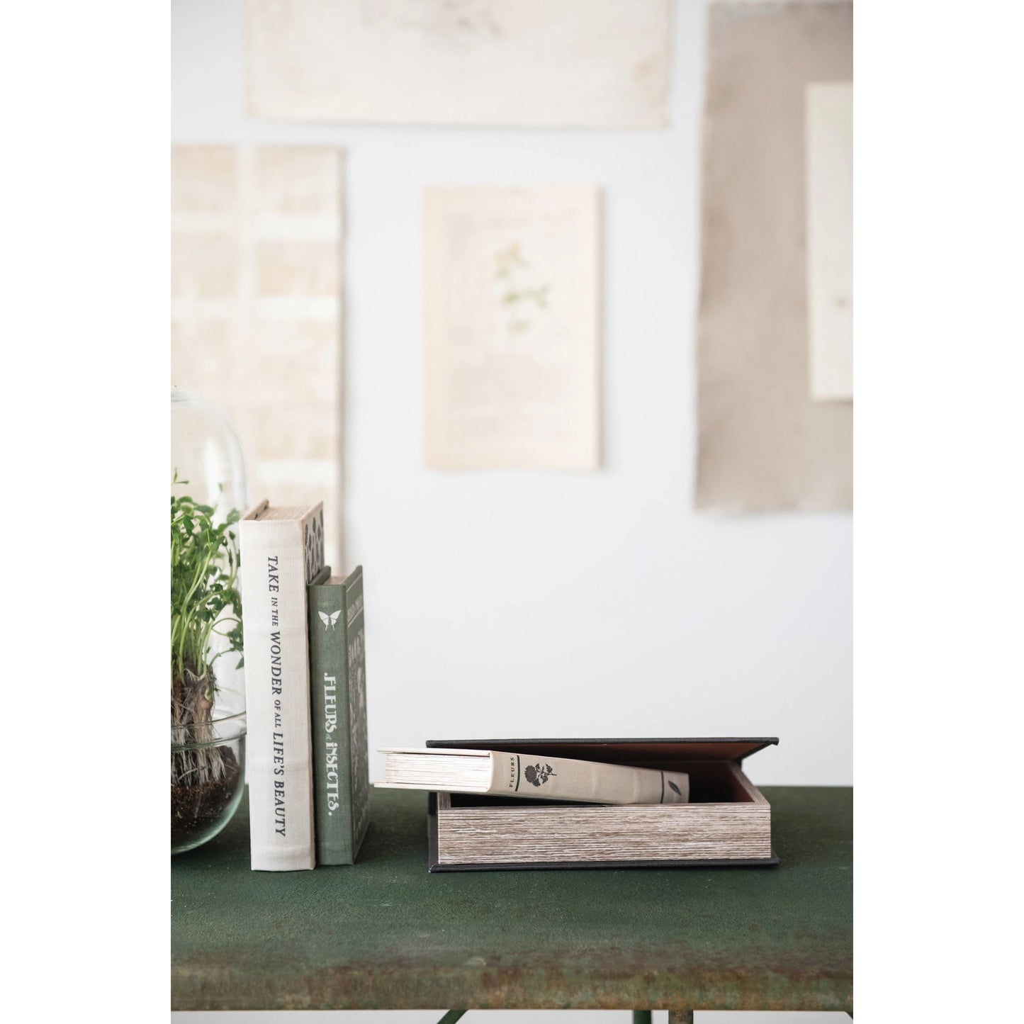 Book Storage Boxes with Garden Studies Prints
