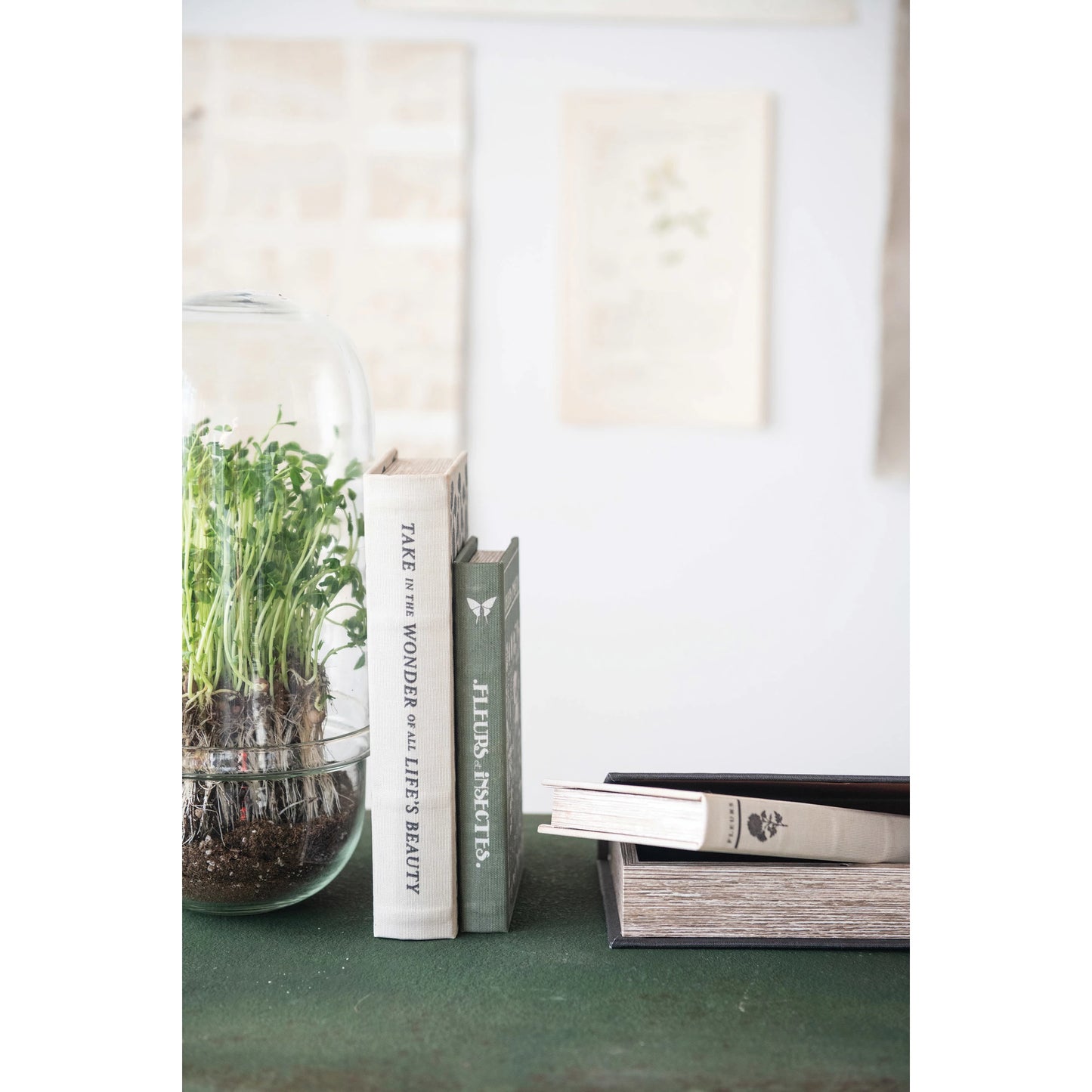 Book Storage Boxes with Garden Studies Prints