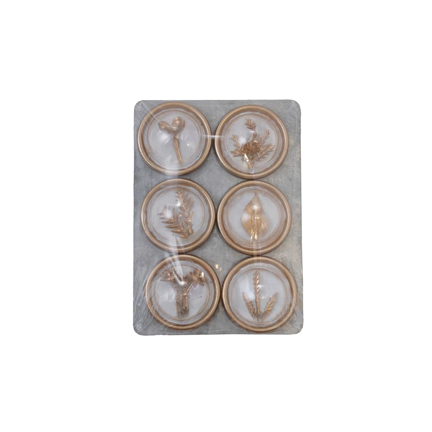 Botanicals Resin Convex Magnets With Gold Finish on Metal Card