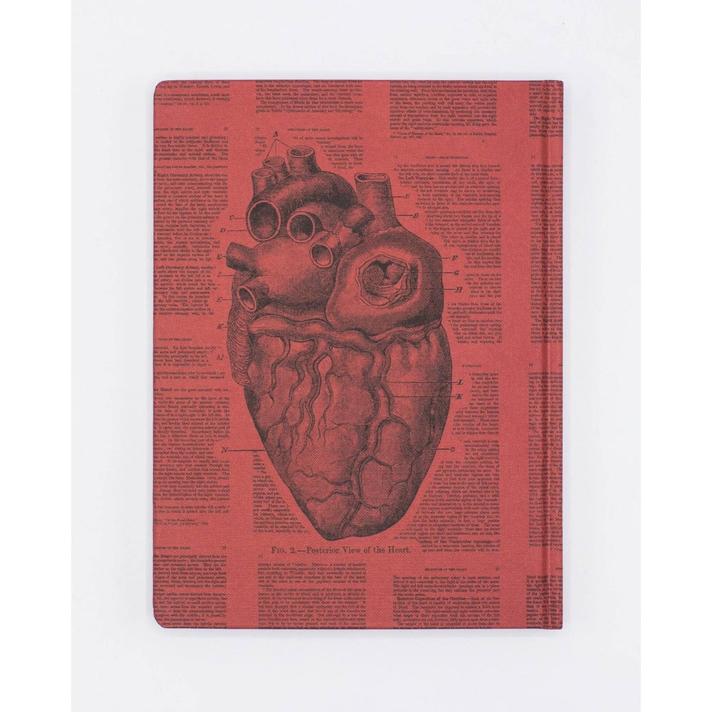 Anatomical Heart Hardcover Notebook | Lined/Grid