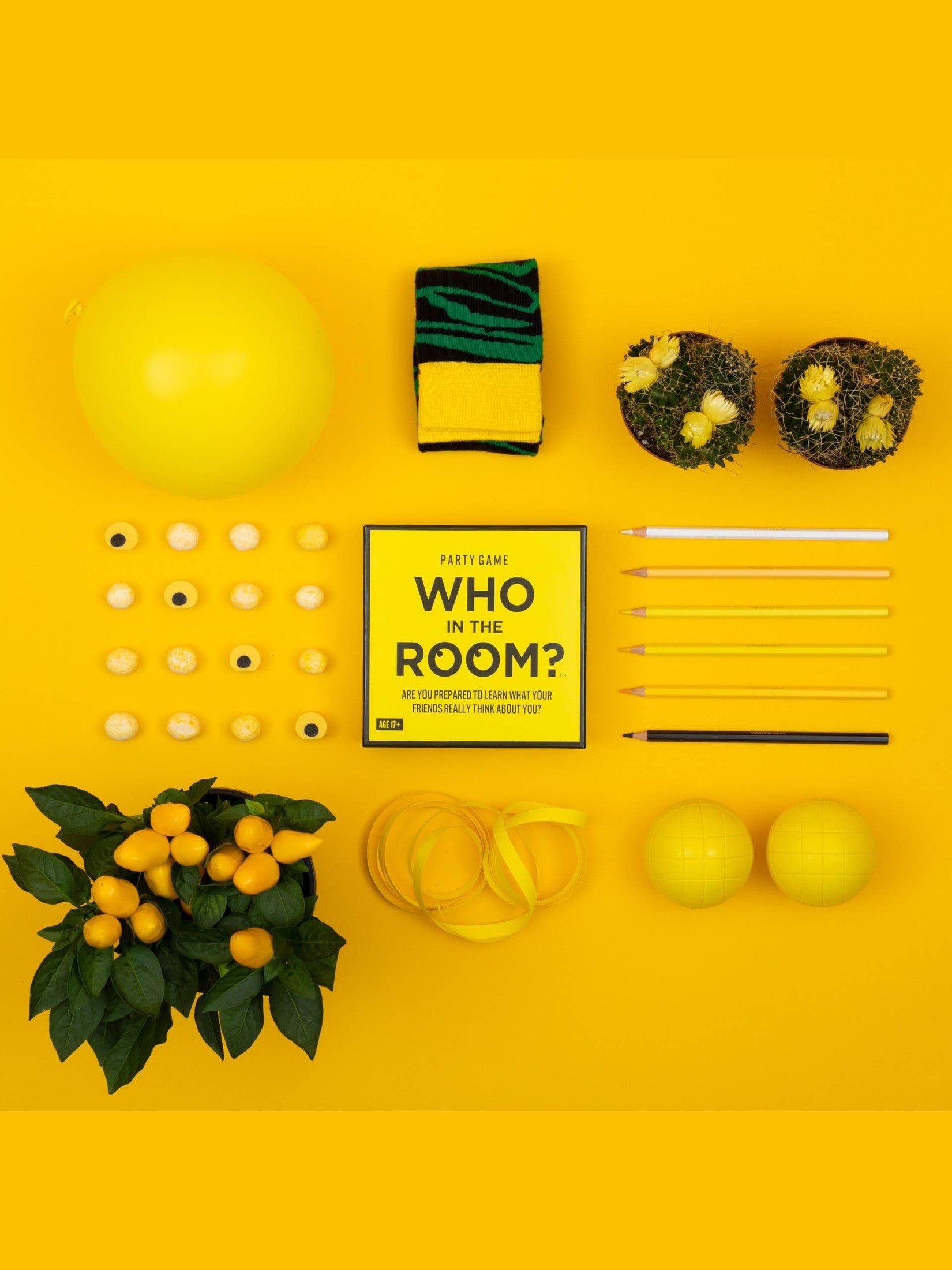 Hygee Games - Who in the Room?