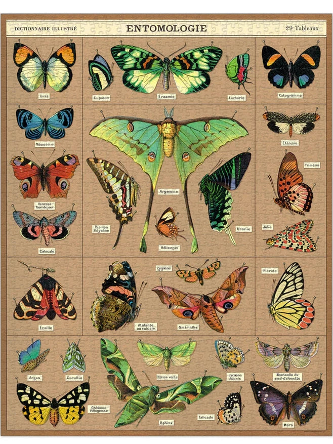 Entomology 1000 Piece Puzzle
