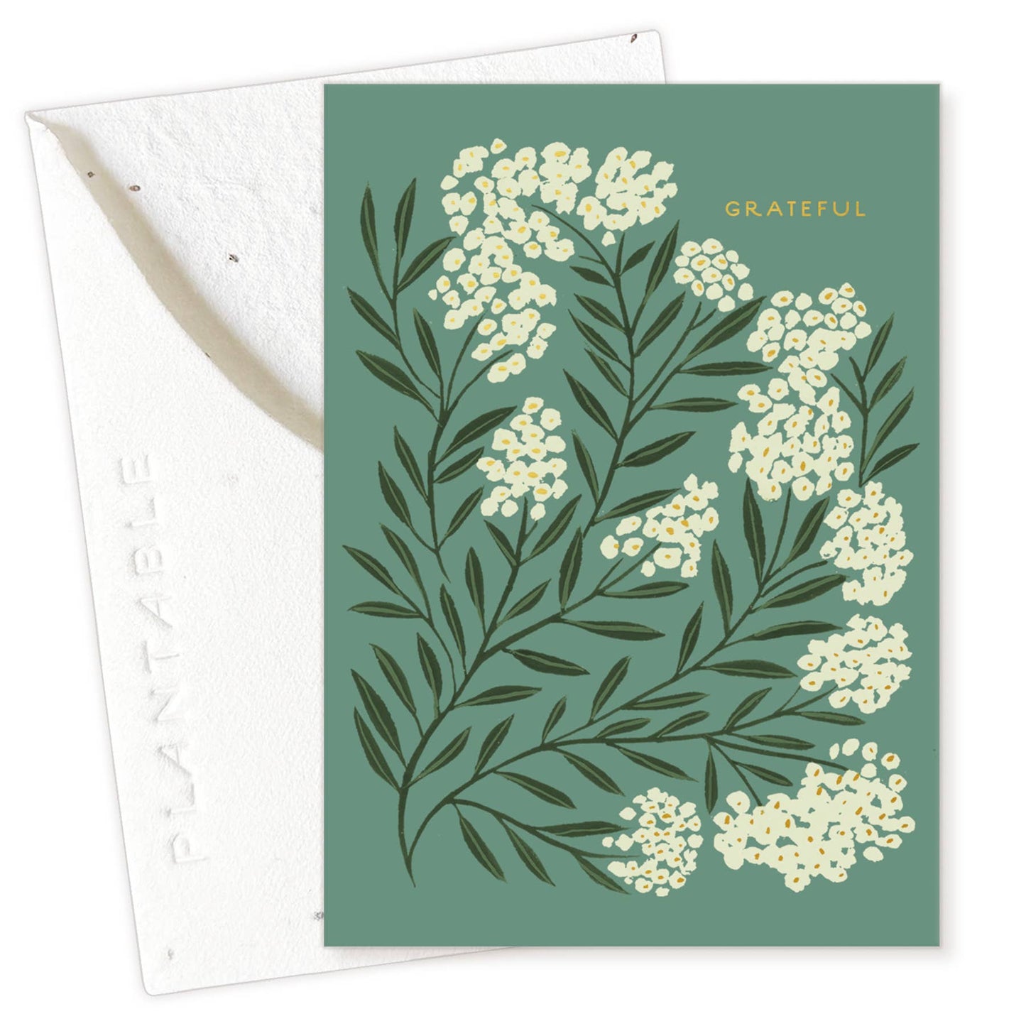 Grateful Sprout - Thank You Mini Greeting Card 2.5" x 3.5"