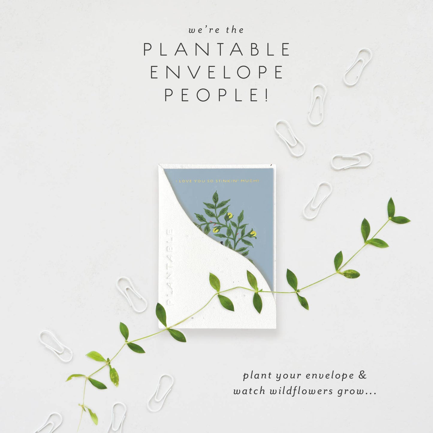 Stinker Sprout - Birthday Mini Greeting Card 2.5" x 3.5"