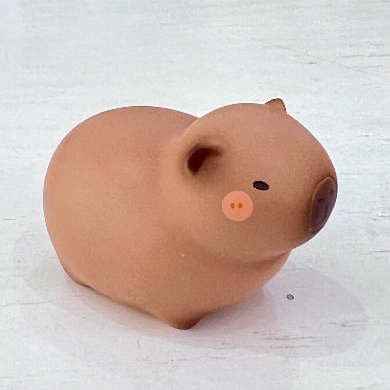 Capybara Figurine Blind Box-4