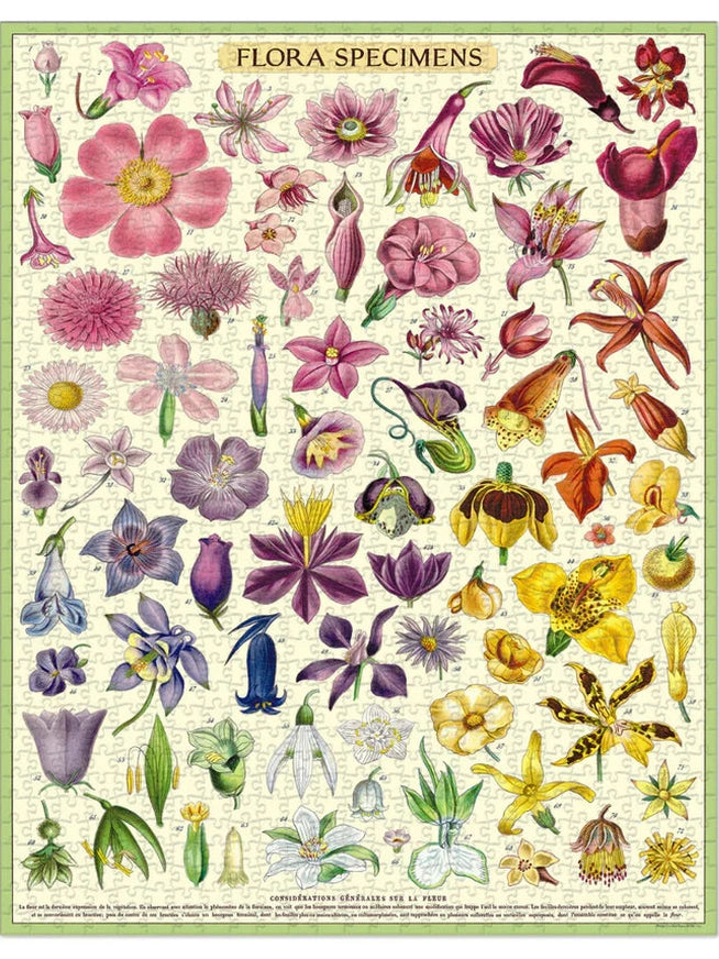 Flora Specimens 1000 Piece Puzzle