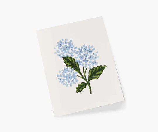Hydrangea Bloom | Greeting Card