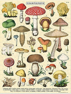 Mini Puzzle | Mushrooms