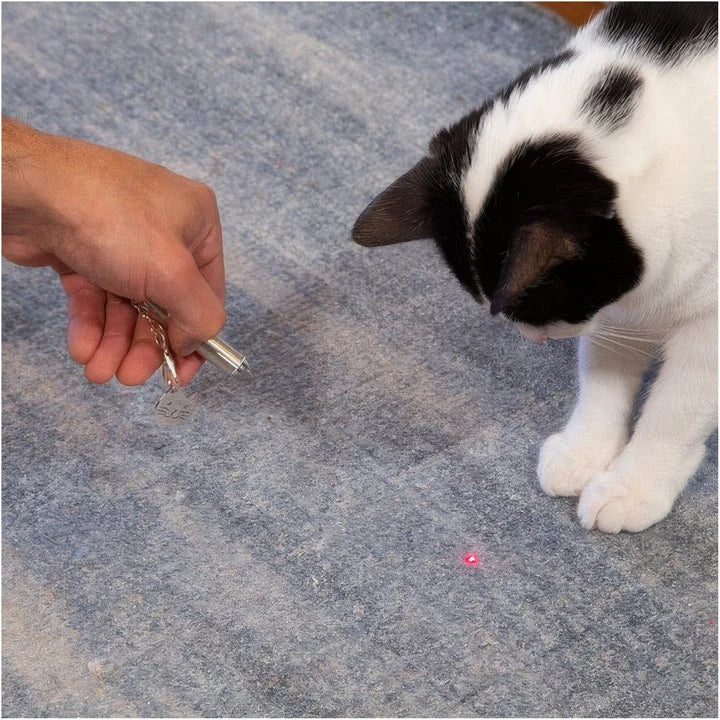 Kiko Rechargeable Laser Pointer
