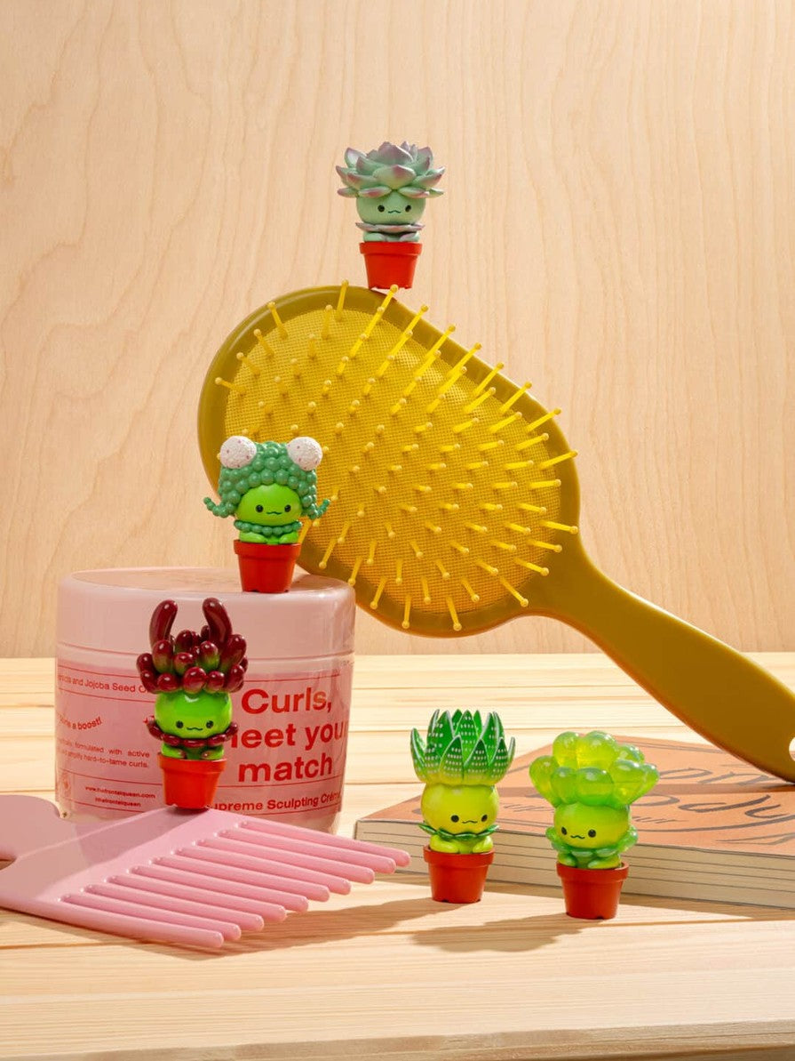 Succulent Friends Blind Box