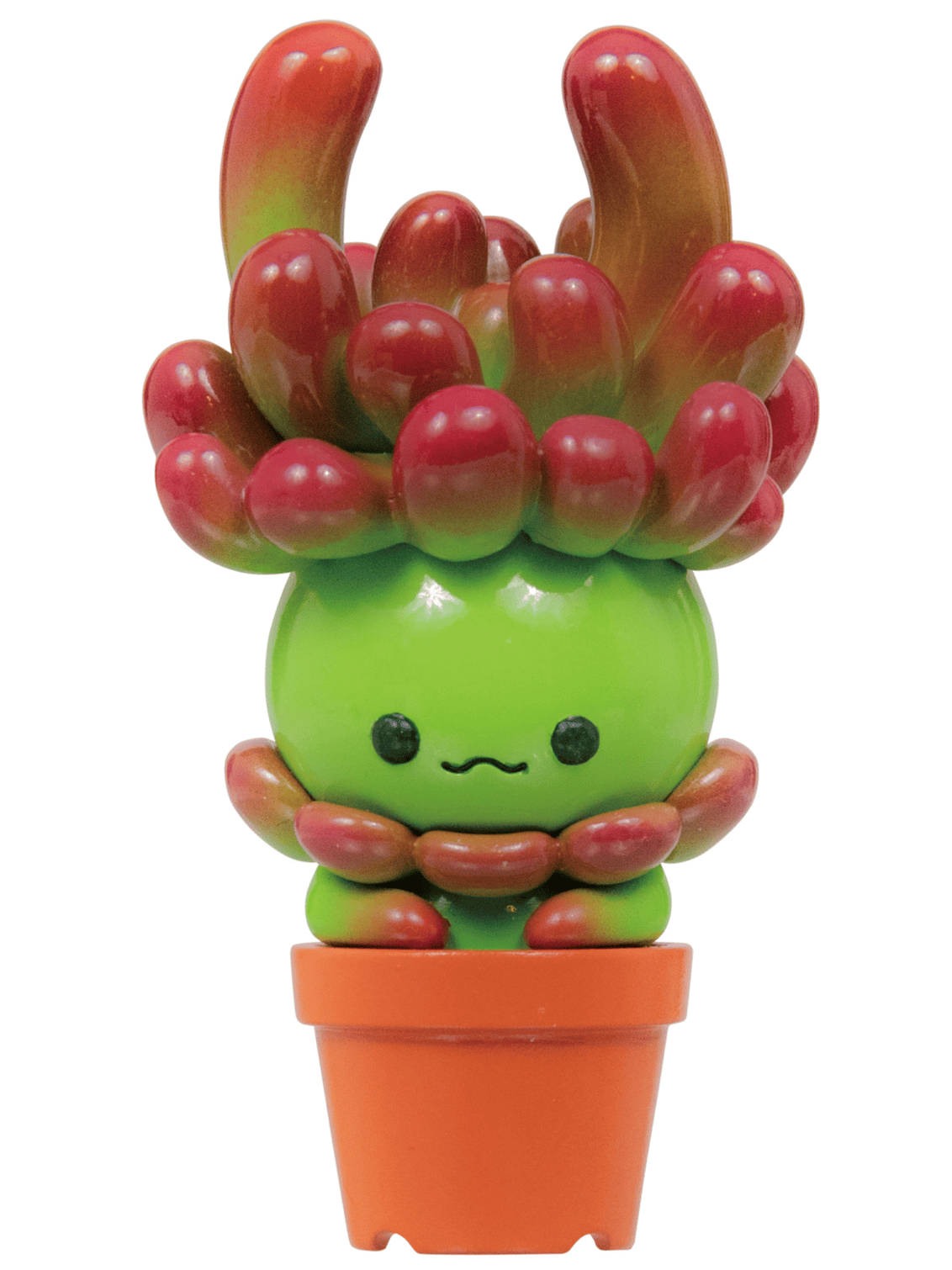 Succulent Friends Blind Box