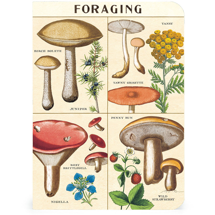 Foraging Mini Notebook