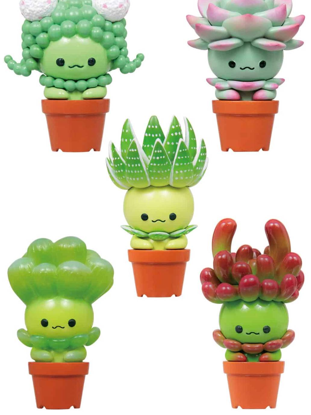 Succulent Friends Blind Box