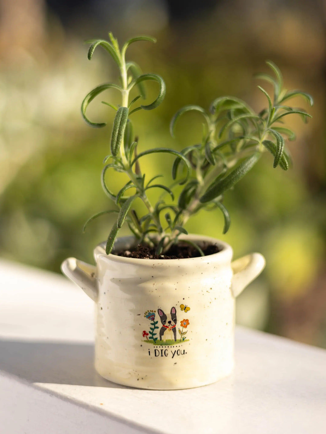 Small Crock Planter - I Dig You