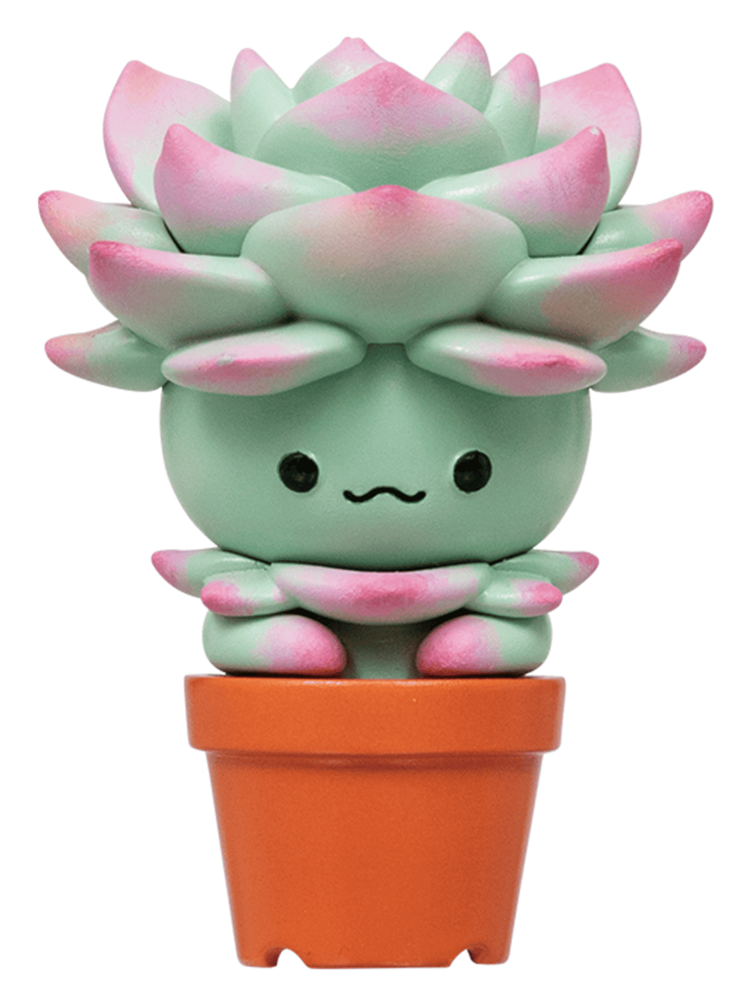 Succulent Friends Blind Box