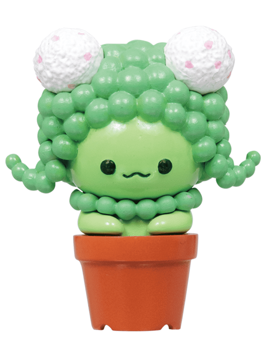 Succulent Friends Blind Box