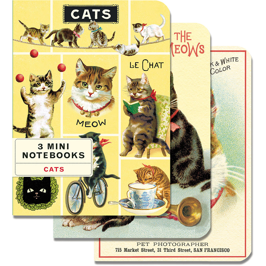 Cats
Mini Notebooks