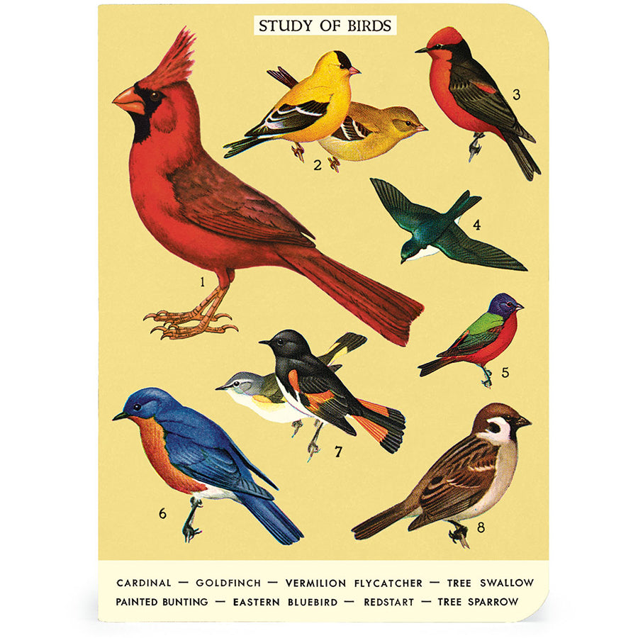 Bird Watching
Mini Notebooks