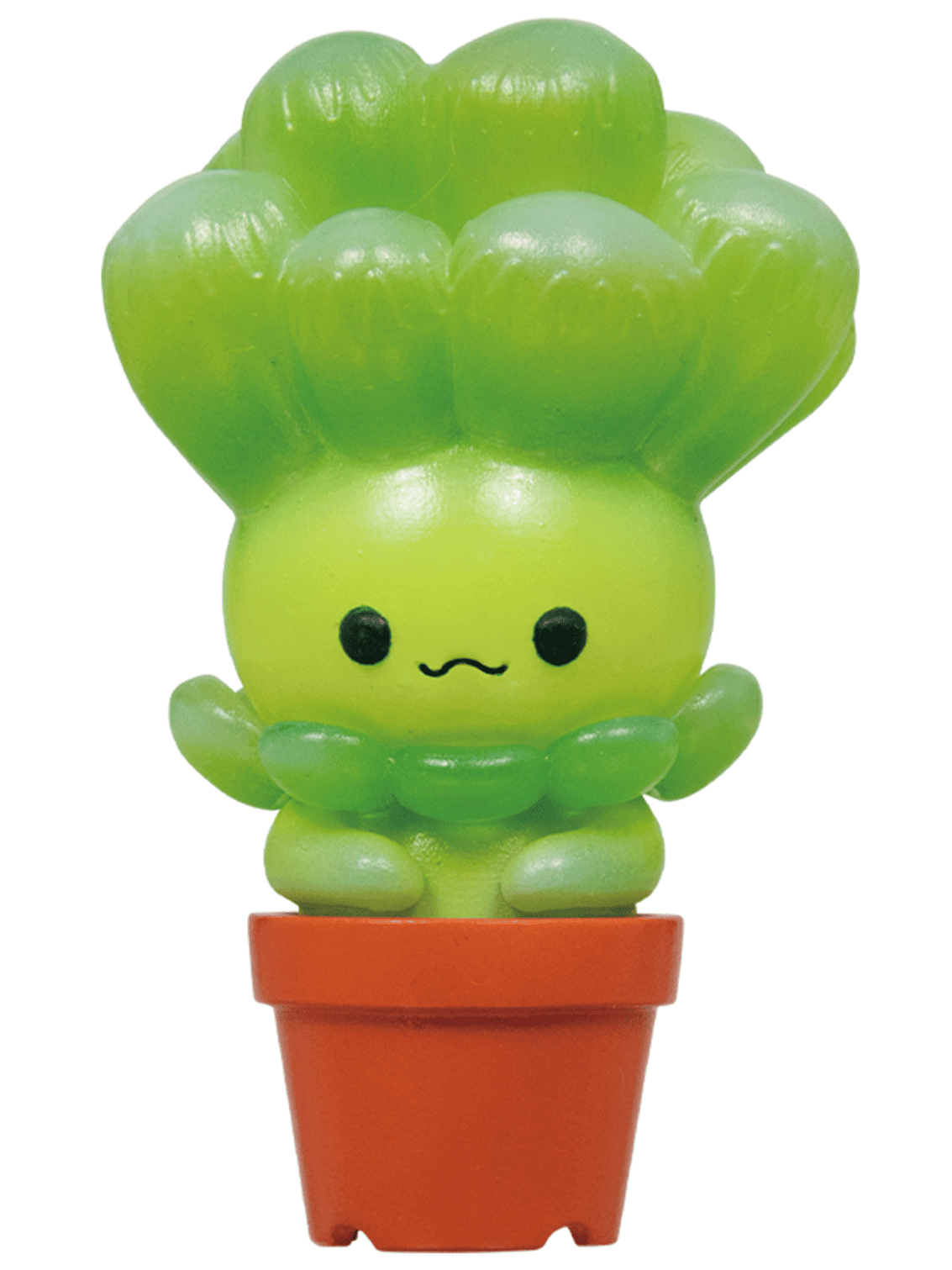 Succulent Friends Blind Box