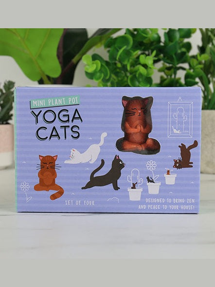 Yoga Cats | Mini Planters