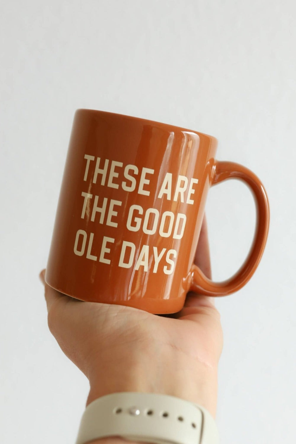 These Are the Good Ole Days Mug
