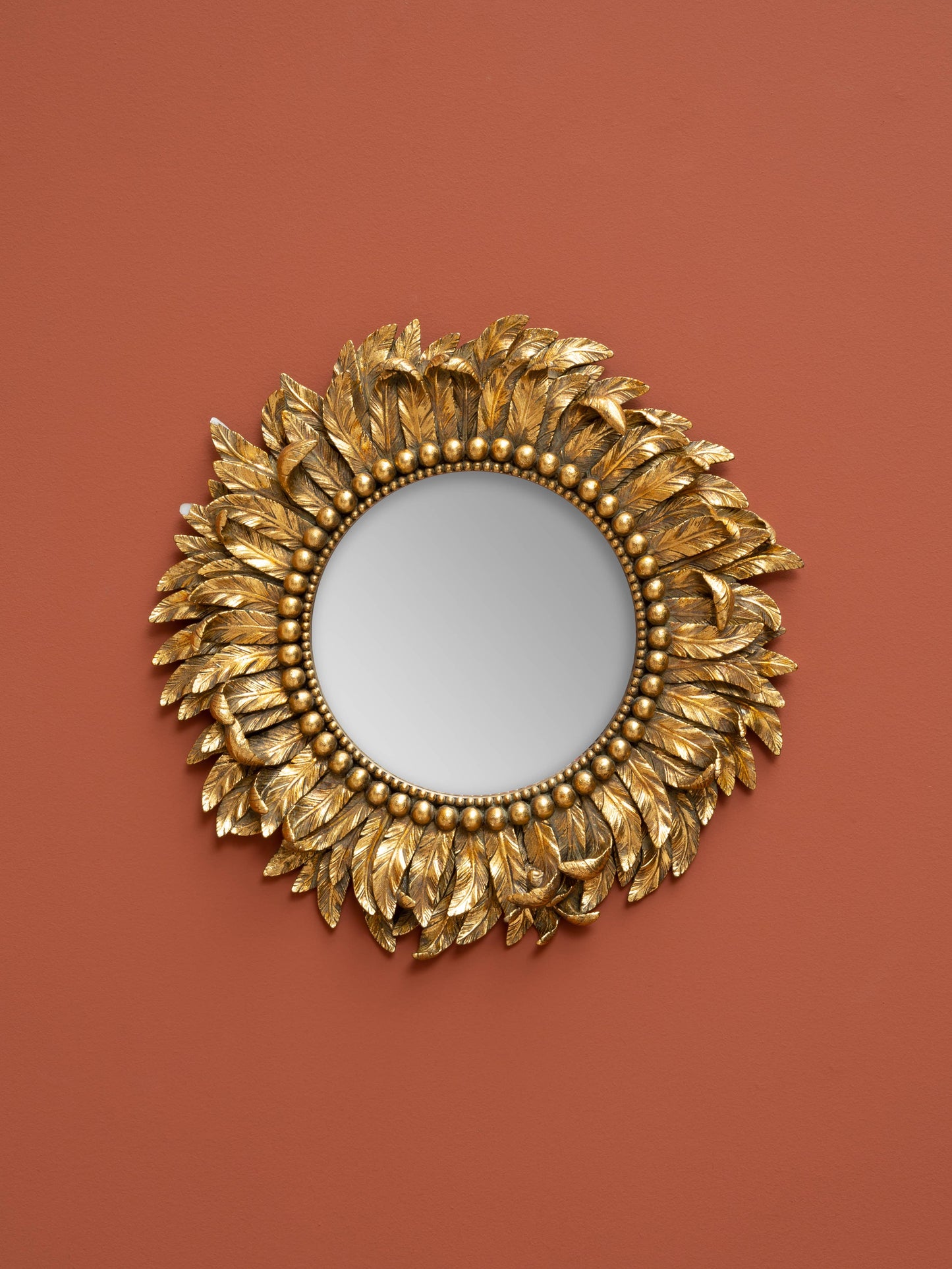 Golden mirror plumage