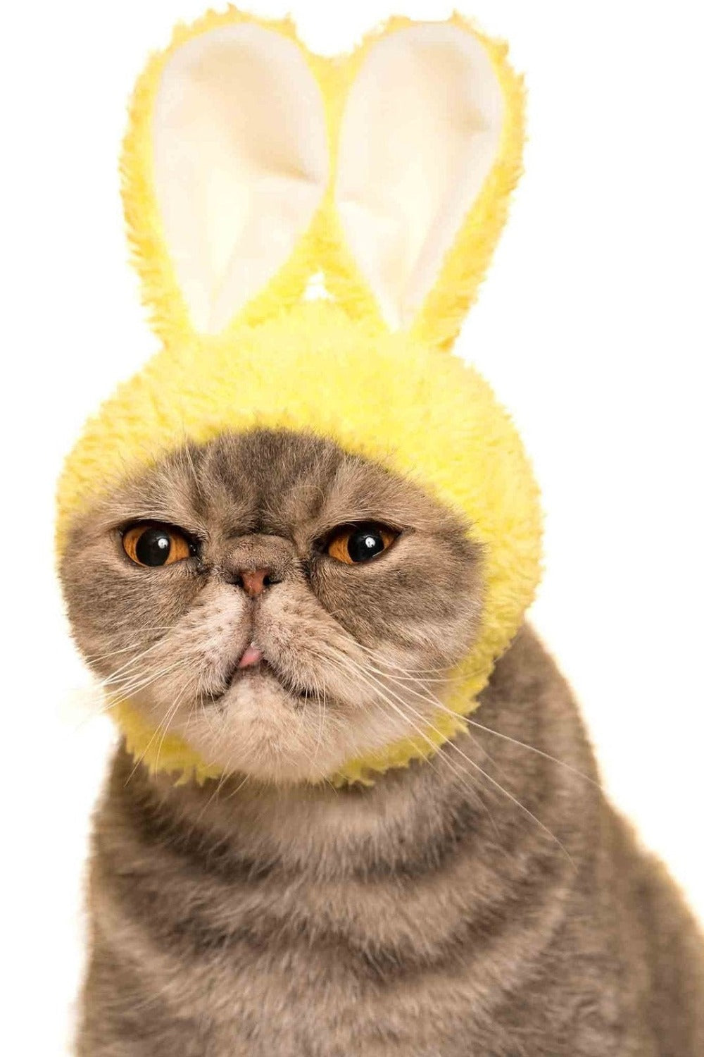 Cat Cap Blind Box Rabbit