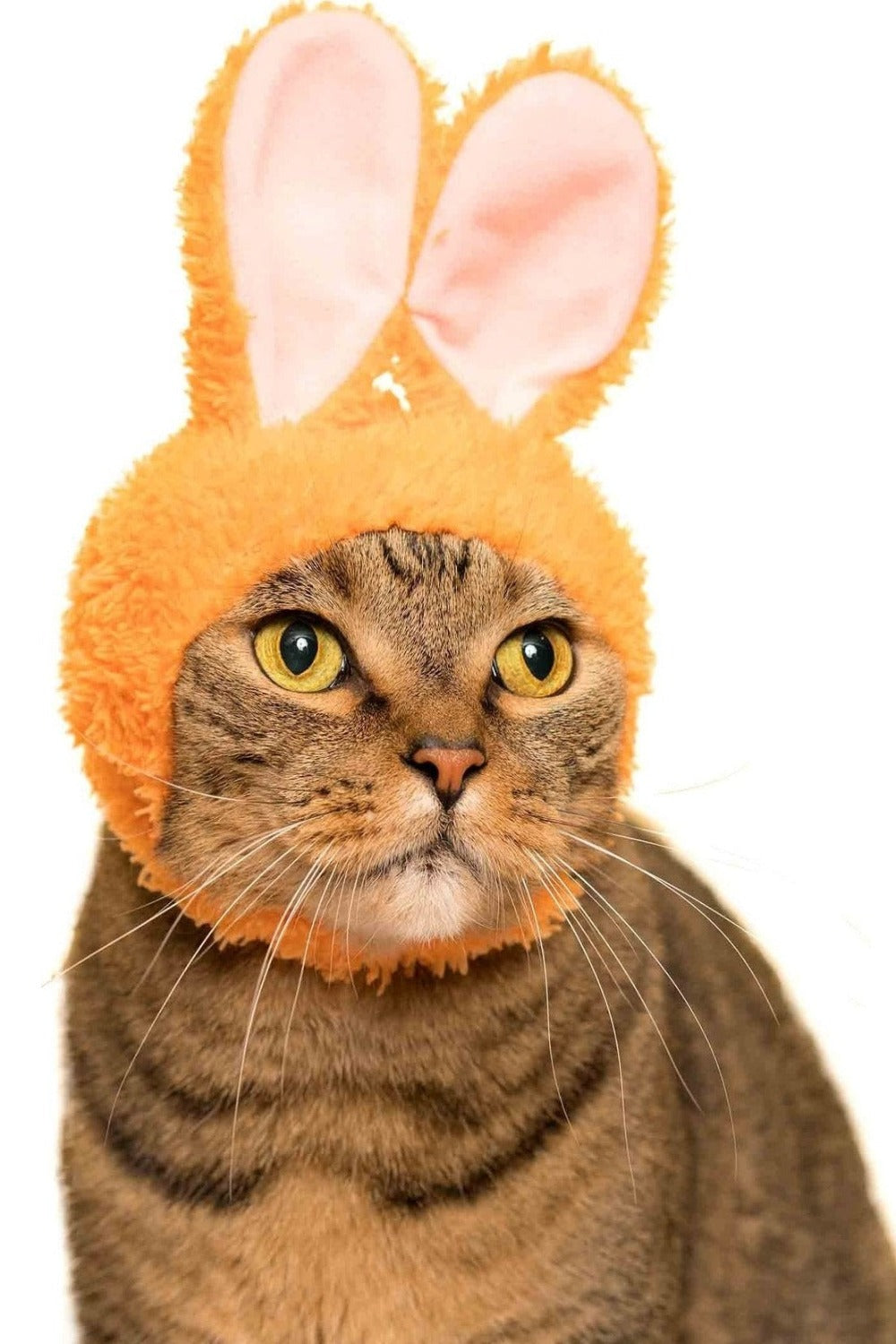 Cat Cap Blind Box Rabbit