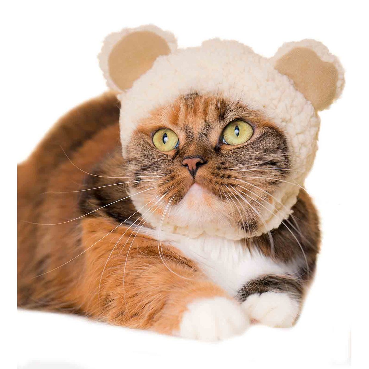Cat Cap Blind Box Bear